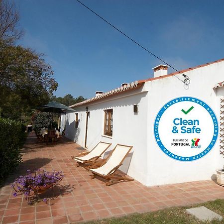 Quinta Pero Vicente Villa Odeceixe Kültér fotó